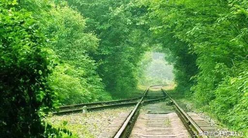 合肥附近自驾游可以去哪些地方玩,来合肥一定要玩的几个地方