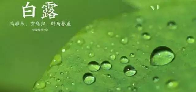 下周海南会有台风吗,最近有台风吗海南