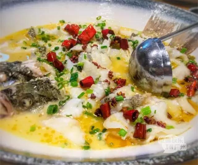 广州美食自助餐探店排行榜前十名,广州特色美食餐厅排行榜前十名