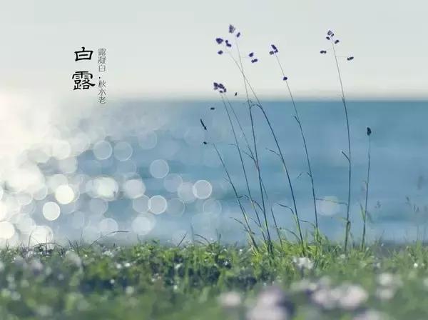 白露节气养生知识大全,节气白露养生的小知识