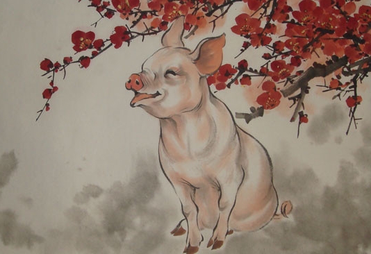 属猪的出生年月日时辰解释,属猪的出生在猴的时辰好吗