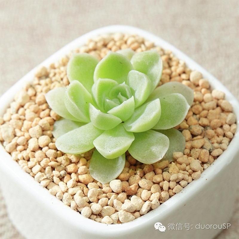 中秋送礼送水果可以吗,中秋送礼除了螃蟹还可以送什么