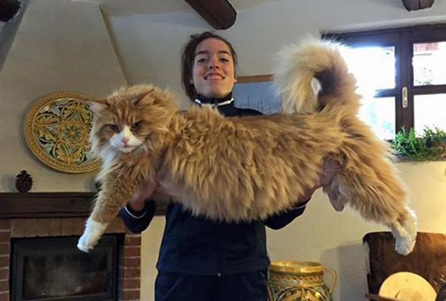 强迫症受不了东西不整齐,强迫症伤不起