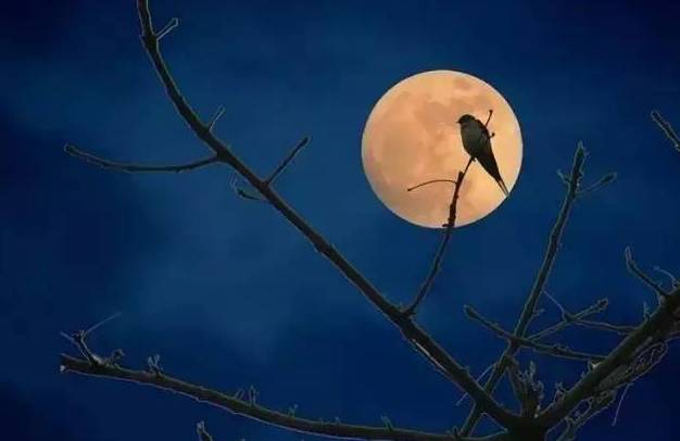 中秋节这天不能做什么,今天中秋节忌讳做哪些事