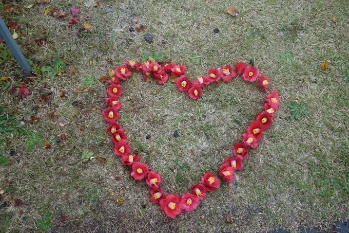 3月济州岛旅游游记,四月的济州岛机票