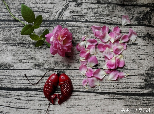 高端寻爱浪漫游，让我一边窥望一边堕落骑士之城。