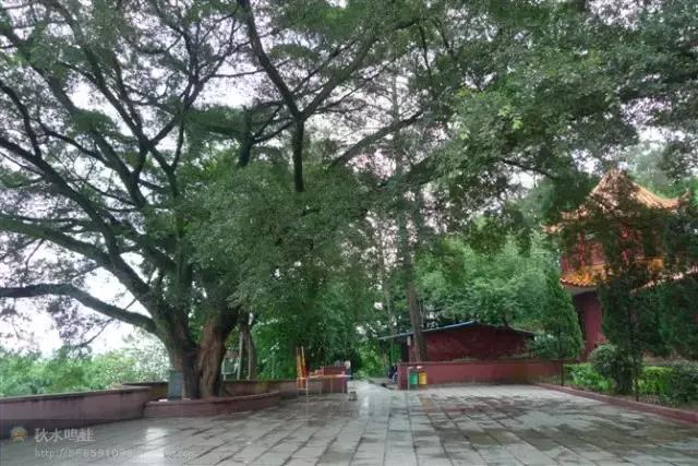 我是海南人我为海南代言,我是兴宁人