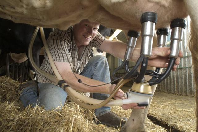 牛奶喝多了会导致激素过多吗,现在牛奶含有过多的激素吗