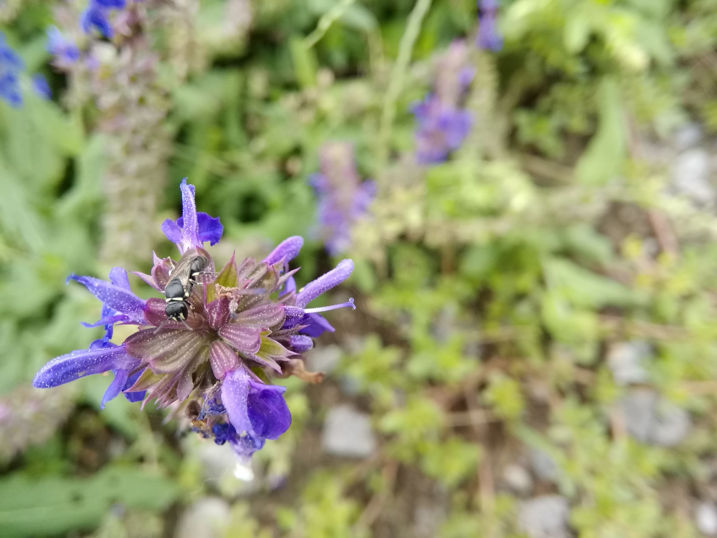 华为平板m3看视频卡吗,华为平板m3揽阅10寸