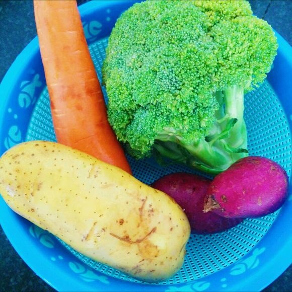 自制狗粮食谱100例,怎样自制狗粮视频教程