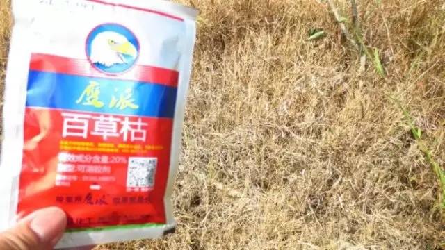 误服农药百草枯还有救吗？