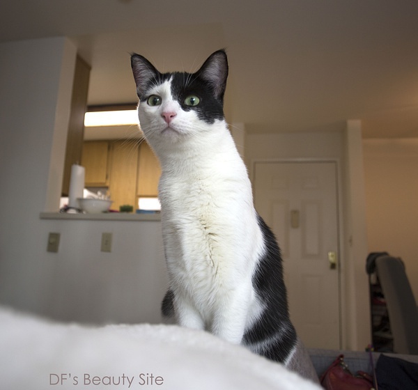 豆瓣日记,豆瓣日记2018