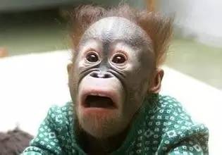 油条加明矾,米粉用陈化粮,粥用增稠剂,吃个早餐相当于服毒可致痴呆,南昌多家店被查,早饭该吃啥!