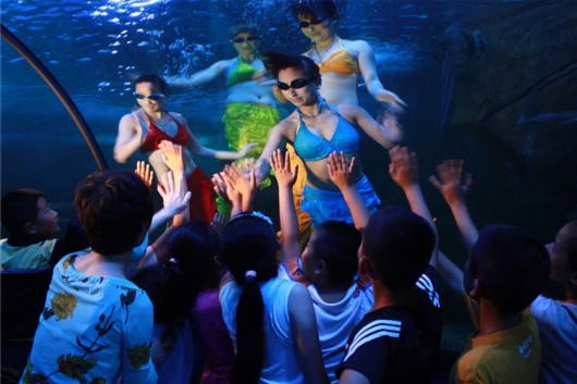 泉城海洋极地世界门票,泉城海洋极地世界儿童的收费标准