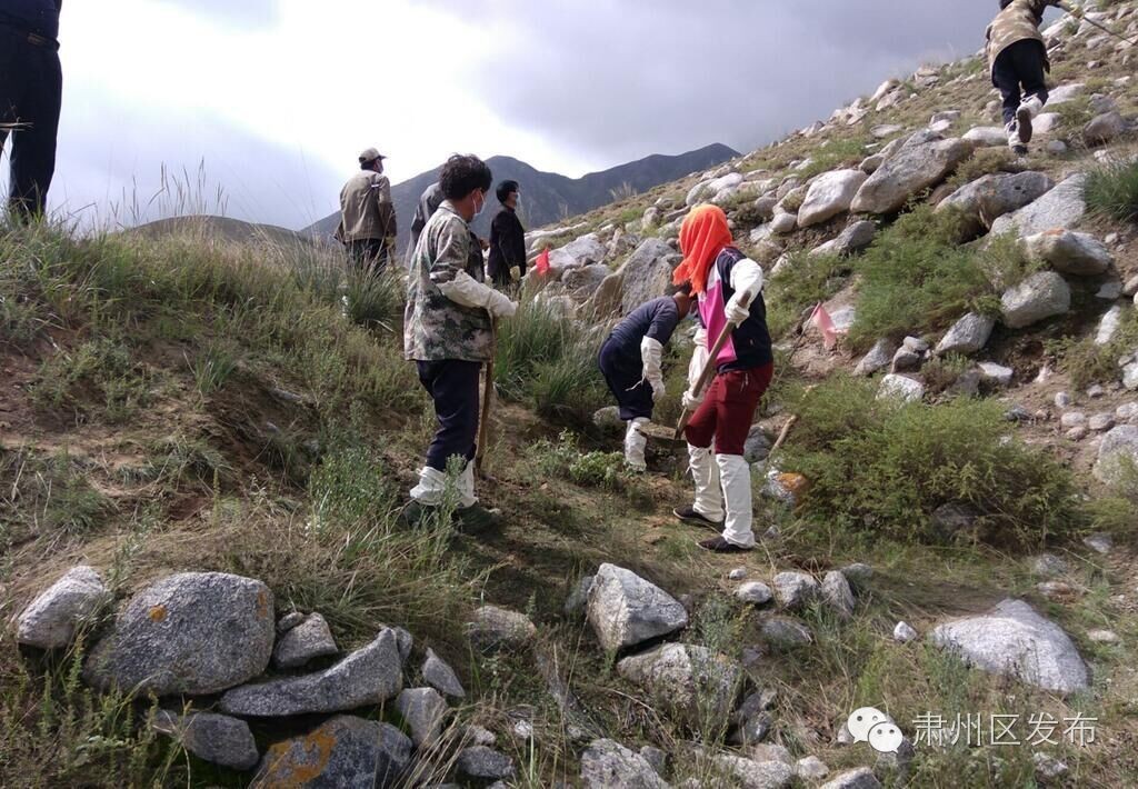 肃州基层简讯▏2016年9月1日