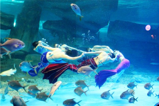 泉城海洋极地世界门票,泉城海洋极地世界儿童的收费标准