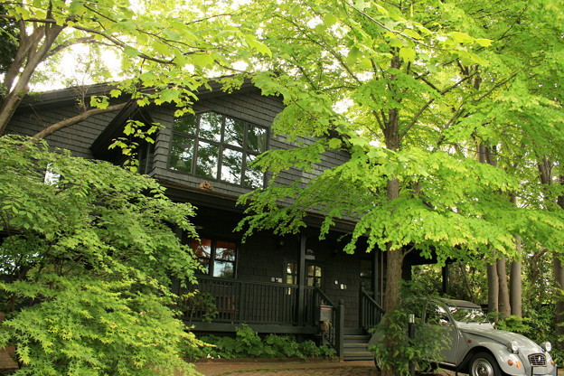 押井守作品剪辑,押井守哪些动画好看