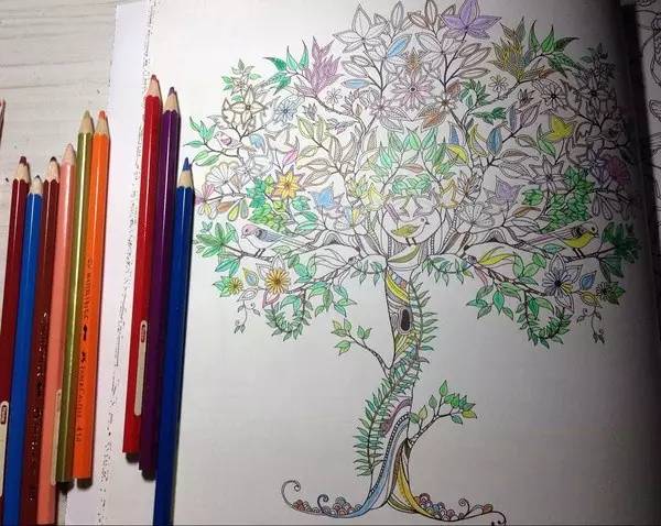 秘密花园涂色可以减压吗,秘密花园涂色画打印大图