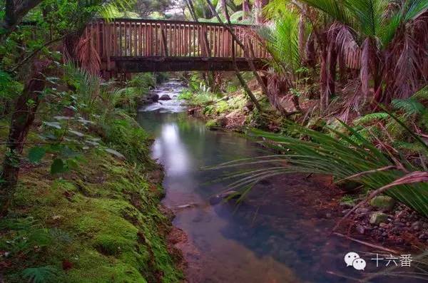 一张照片一段时光油画,随手一拍都是一幅画