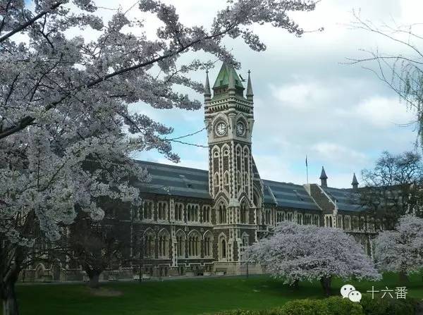 一张照片一段时光油画,随手一拍都是一幅画