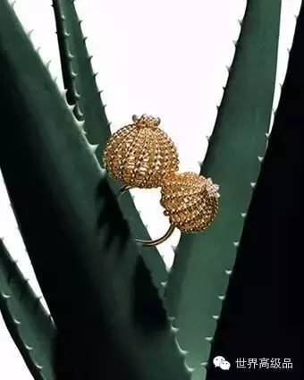 卡地亚cdecartier戒指,卡地亚珠宝获奖经典款