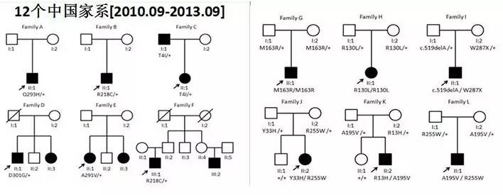 CCOS2016眼底陈有信教授:Best病及基因型与表现型研究