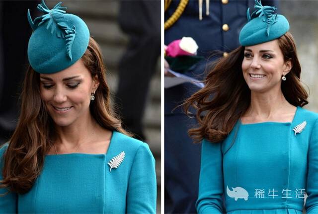 凯特王妃梳子梳了真不毛躁吗,英国王妃梳子