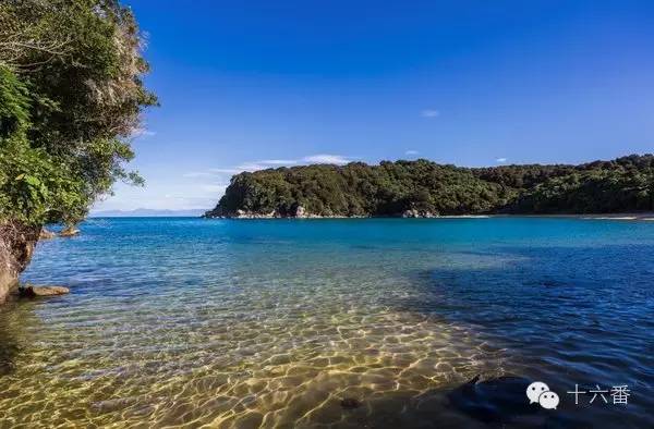 一张照片一段时光油画,随手一拍都是一幅画