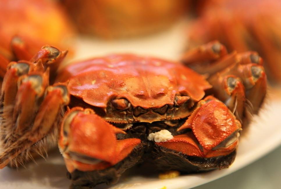 蟹姑娘阳澄湖,正经阳澄湖大闸蟹攻略