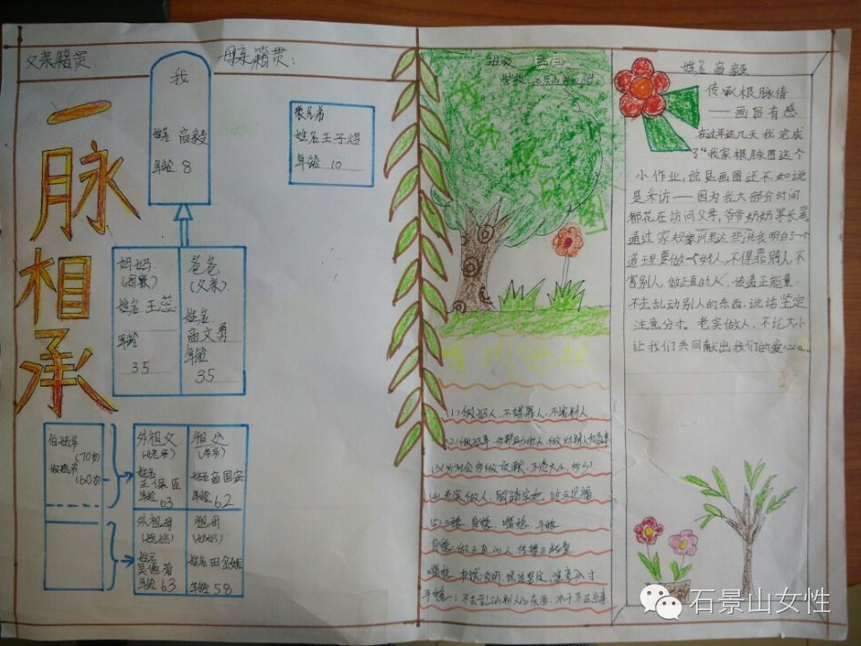 家谱图需要画出几代,家谱图如何绘制