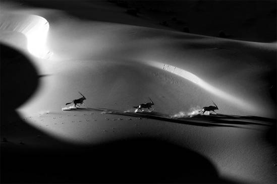 身价数十亿的他除了去无人区摄影，险些丧命，还用了6年时间和30多位石艺老匠人打造了一家不想挣钱的艺术馆