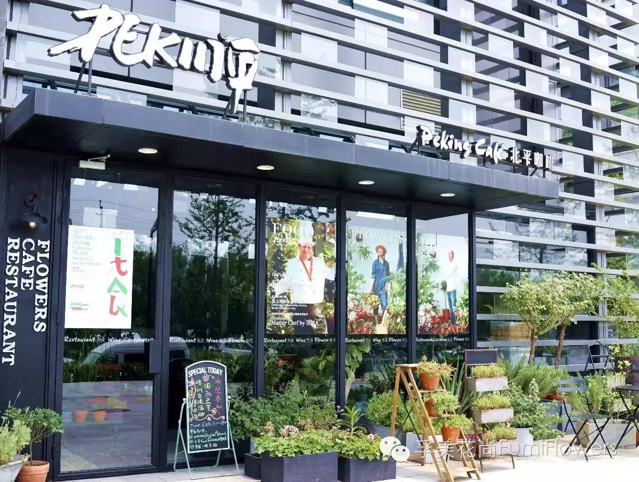 相约北平▏我们都是爱花的人