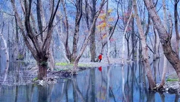 江西10.1小众自驾游路线推荐,江西最好的10条自驾游线路