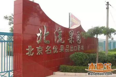 昌平区农业示范园采摘苹果,北京昌平苹果最佳采摘期