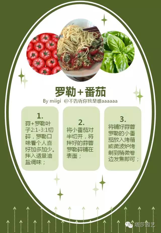 Miigi的罗勒种植、烹饪攻略！