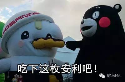 iphone的home键不见了,home键会震动但是没作用了