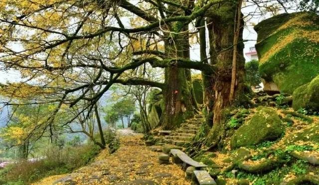 江西10.1小众自驾游路线推荐,江西最好的10条自驾游线路