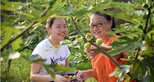 江西10.1小众自驾游路线推荐,江西最好的10条自驾游线路