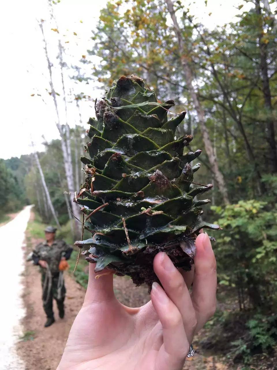 暂存于这个世界的我们，踏寻被遗忘的文化密码