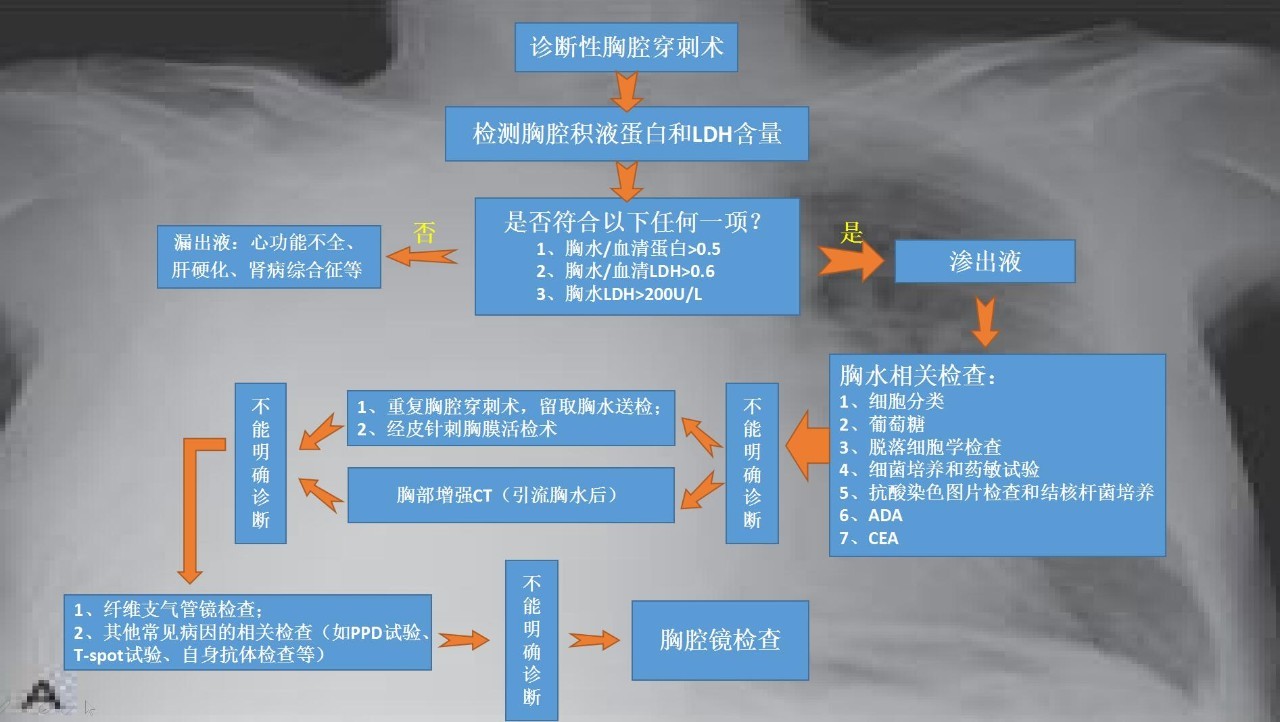胸腔有积液能彻底治愈吗,ct报告有少量胸腔积液