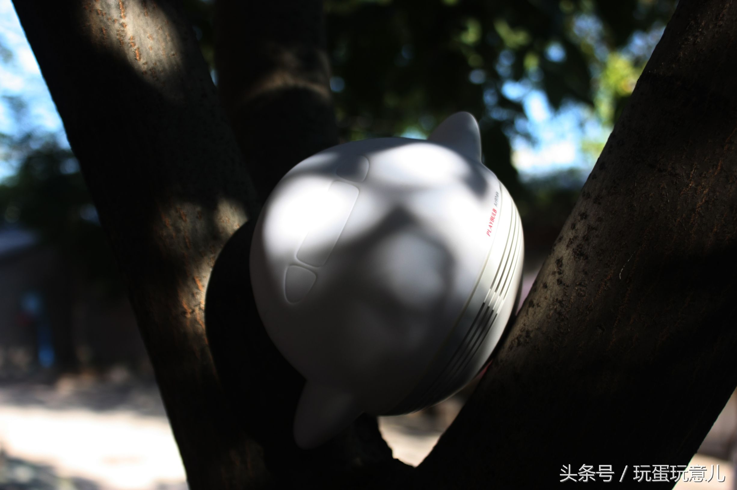 照星爷的话讲,想撩妹吗我教你!AirWhale智能音响灯体验