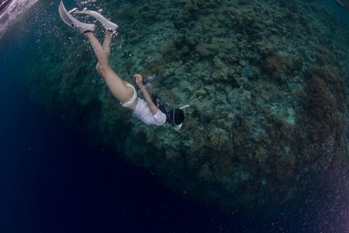 帕劳的生活真实感受,三次帕劳有什么感觉