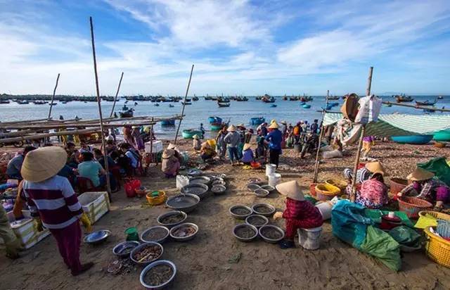 越南美丽的季节,越南越美