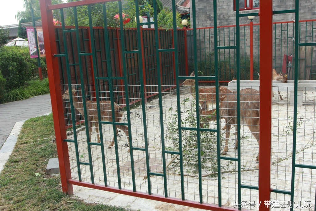 北京昌平区适合带孩子玩的公园,昌平区适合带孩子去的公园