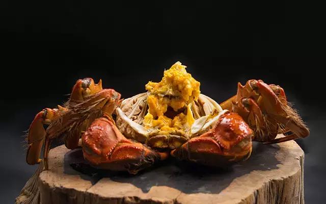 阳澄湖大闸蟹的未解之谜,阳澄湖大闸蟹怎么保证不死