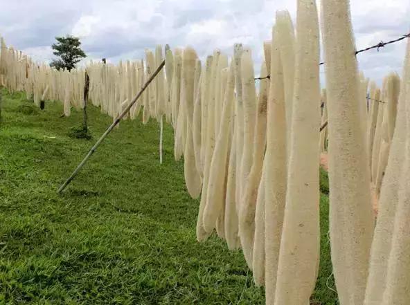 农村洗碗布的妙用,洗碗布自己做