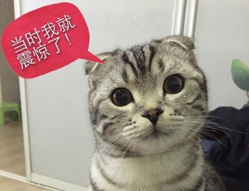 乒乓球起源于欧美哪里,乒乓球起源英国足球起源中国