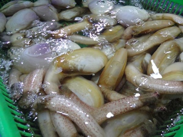 观音山附近海鲜大排档,厦门观音山渔夫码头酒楼