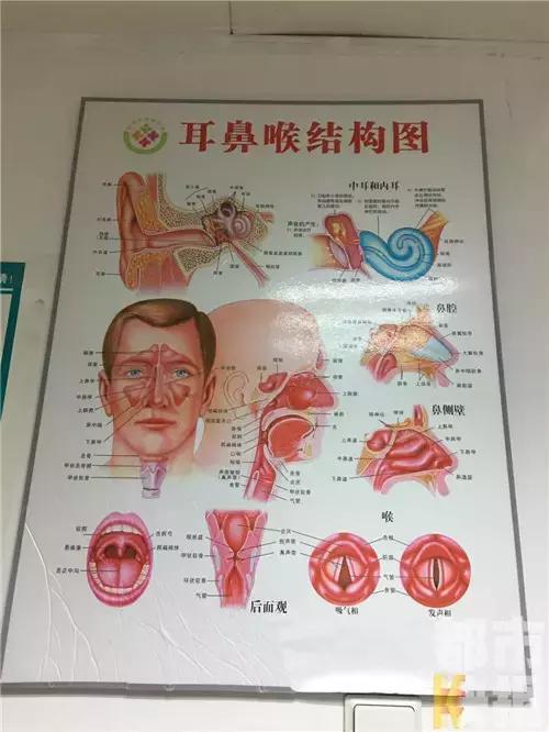 西安：男童游乐园遭意外三粒决明子进入耳中