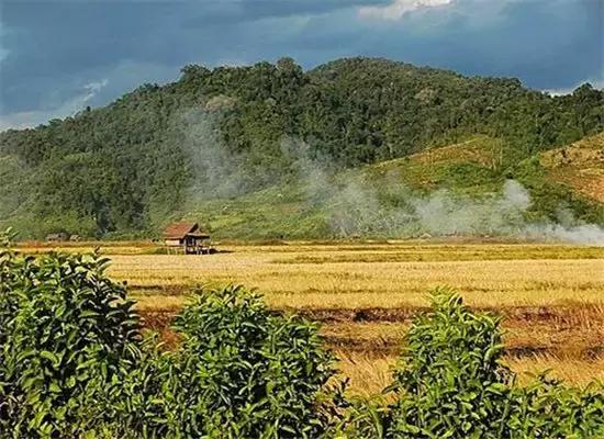 泰国100元人民币能买什么,在泰国100人民币能买到什么